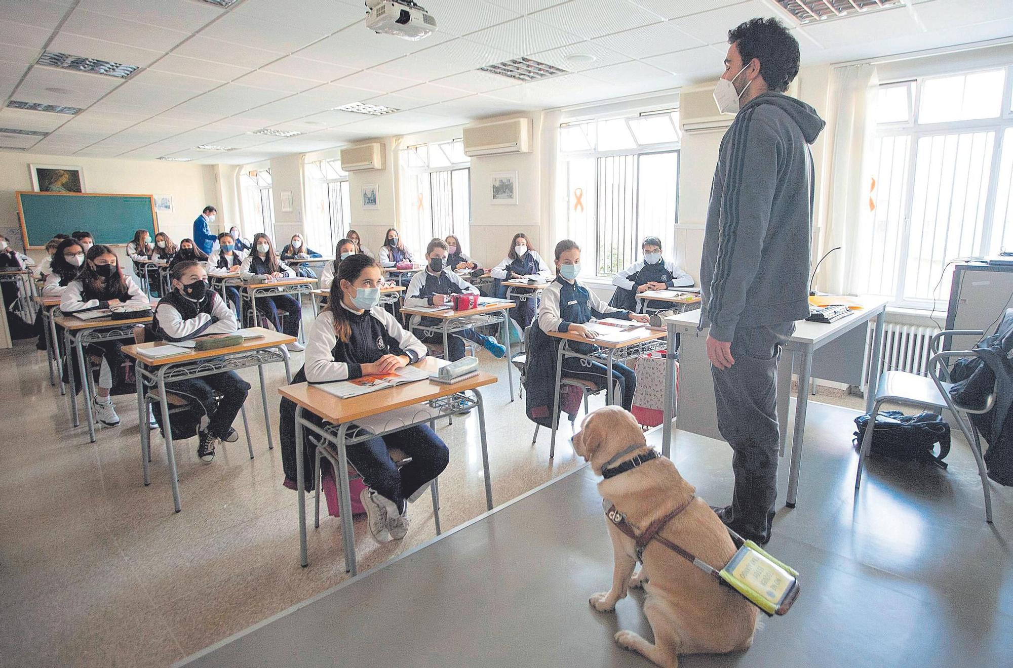 Josep Murgui da clases de franés en el colegio Esclavas de María de València