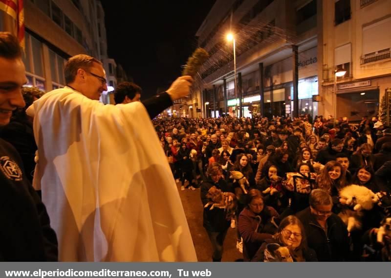 Sant Antoni en Vila-real