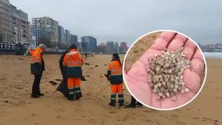 Las bolinas de plástico llegan a Gijón: aparecen en la playa de San Lorenzo
