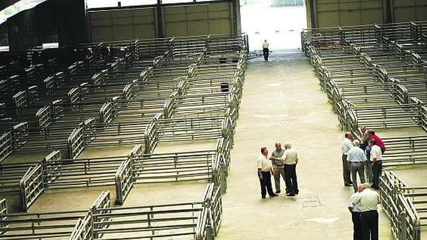 Ganaderos y tratantes, debatiendo, ayer, en el mercado de la Pola.