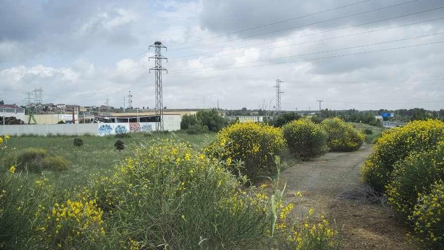 Torres de alta tensión en el polígono industrial Benavente II que impide la construcción de nuevas naves.