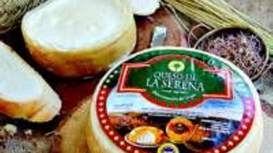 Queso de la Serena se reúne en la feria con 30 firmas importadoras