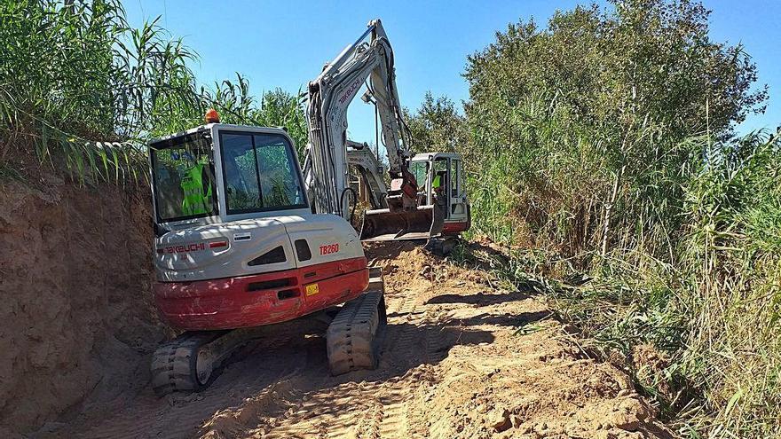 Alzira declara la guerra a las cañas del Xúquer