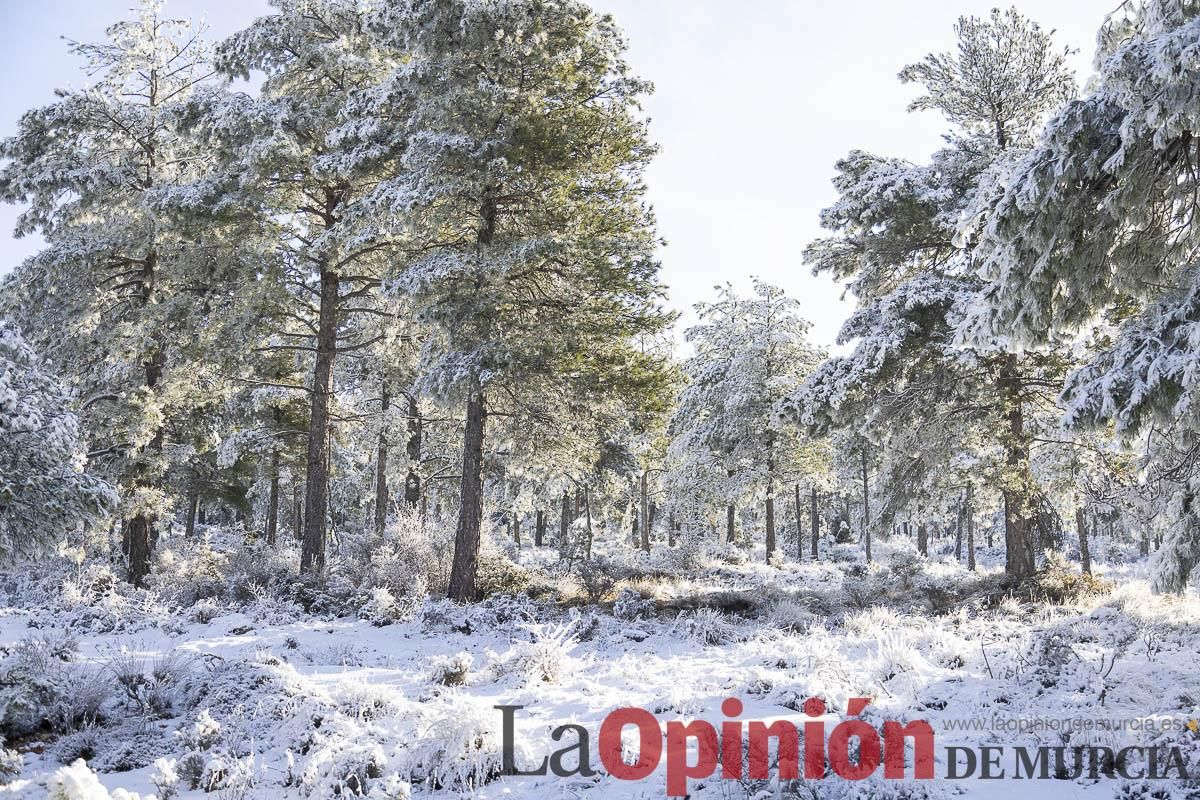Descubre dónde queda acumulación de nieve en la Región de Murcia