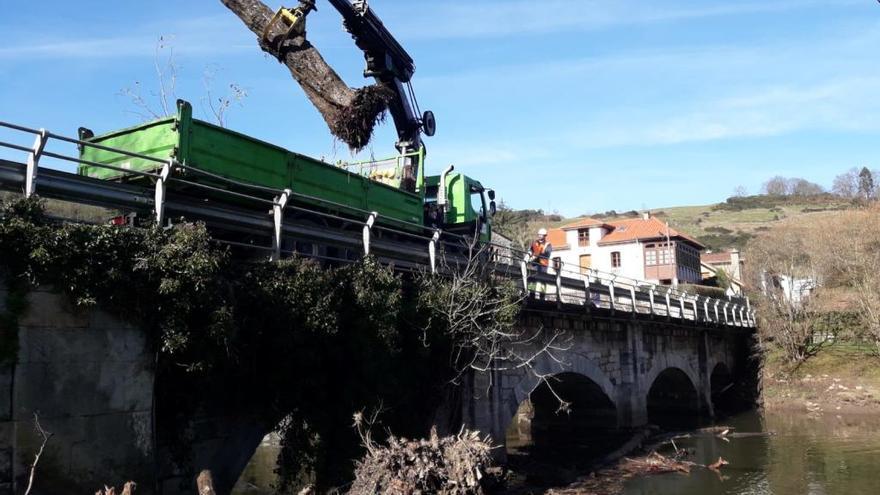Comienzan los trabajos de limpieza del Río Nora a su paso por Oviedo