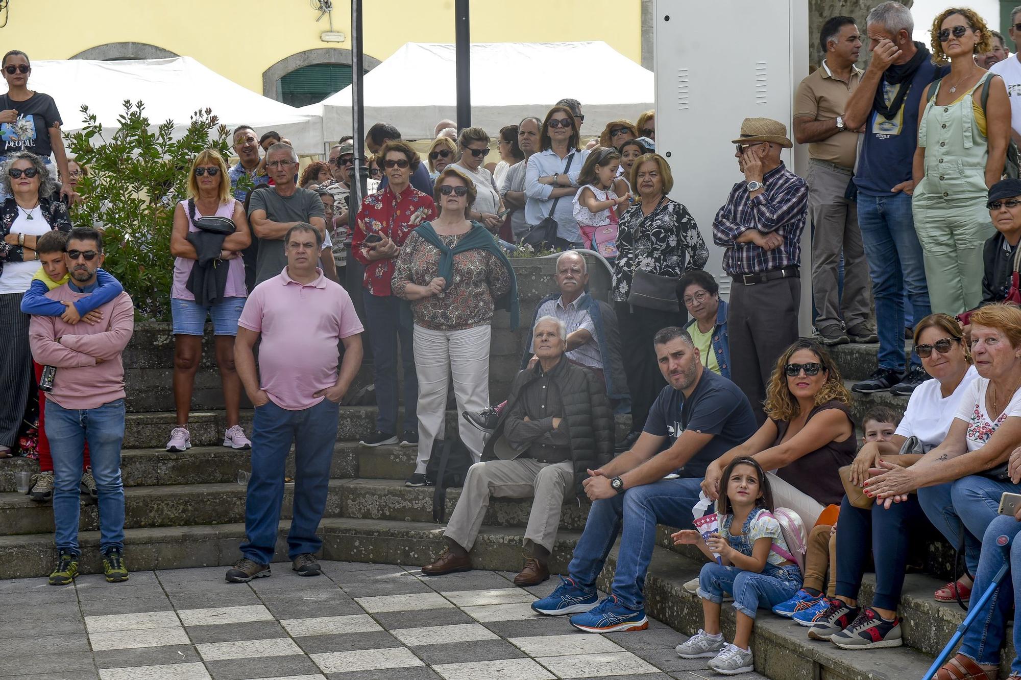 Fiestas de la manzana de Valleseco