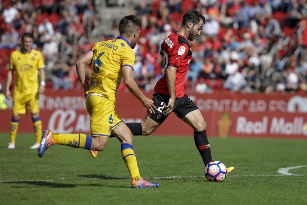 RCD Mallorca - AD Alcorcón (1-0)