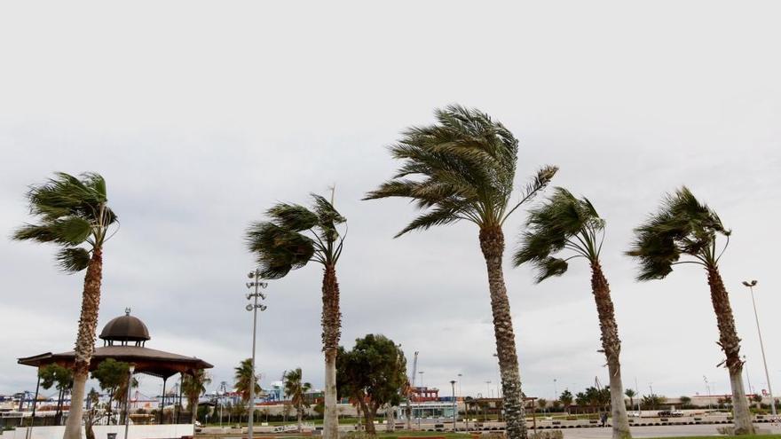 Fin de semana de mucho viento y poco frío en Valencia