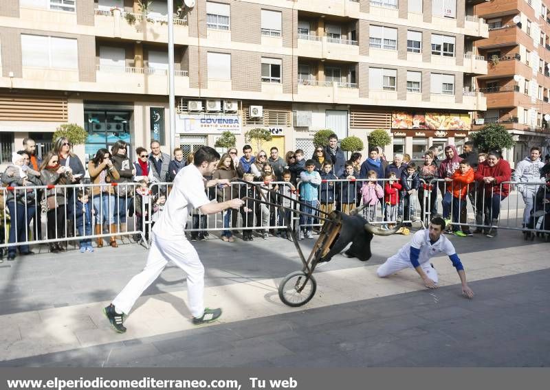 GALERÍA DE FOTOS -- Demostración de recortadores en Almassora