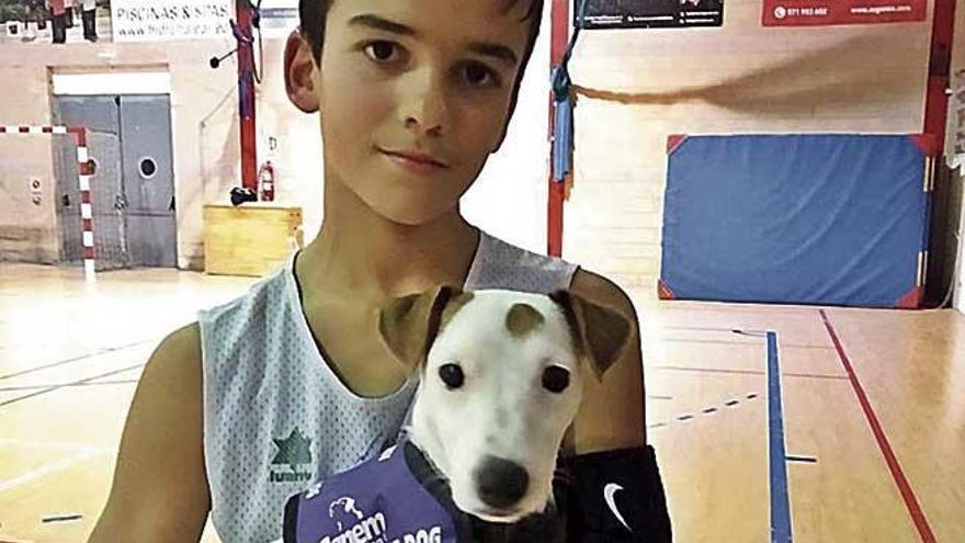 Perros que vigilan la diabetes infantil