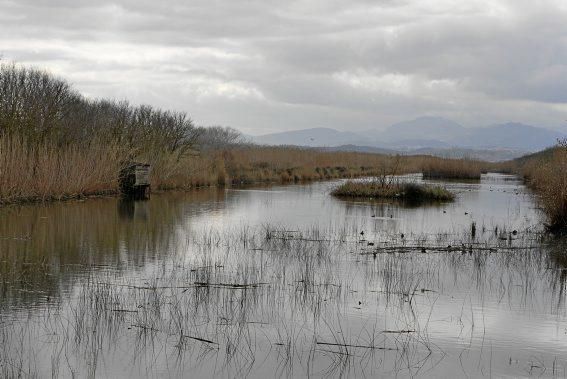 Das Naturschutzgebiet S'Albufera wird 30 Jahre alt - und steckt in einer tiefen Krise. Umweltschützer schlagen Alarm, die Politik bleibt weitgehend untätig.