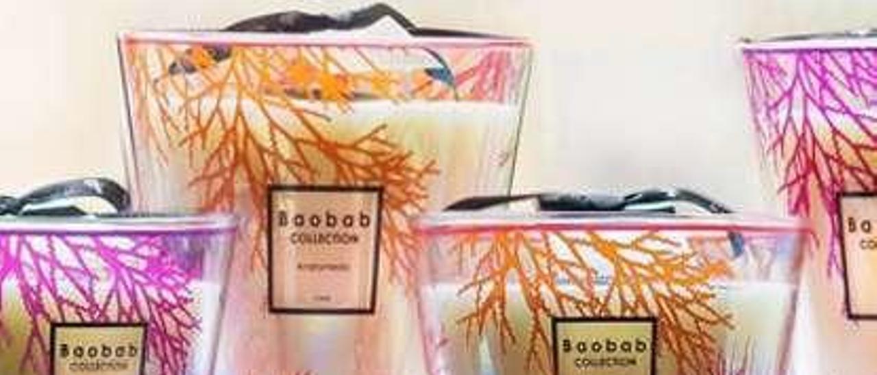 Velas Baobab.