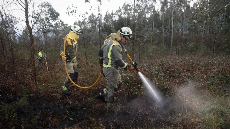 Arden 3.697 hectáreas en España en enero, siete veces más que hace un año