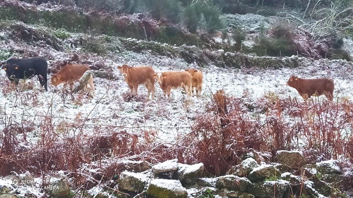 La borrasca Dora deja la primera nevada del otoño en Pontevedra