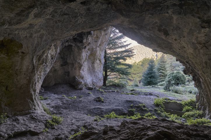 Cueva de agua en el bosque de pinsapos.