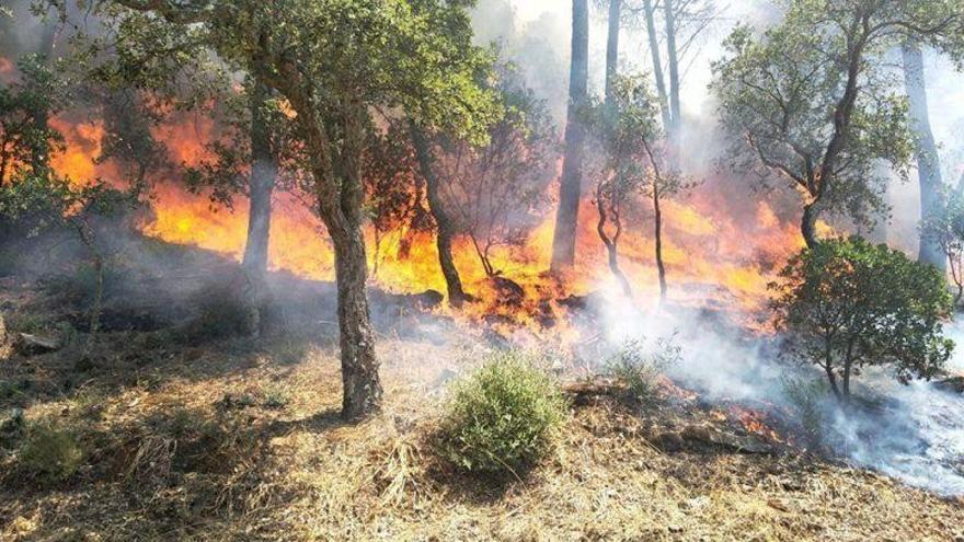 Alerta roja de incendios forestales en varias zonas de Aragón