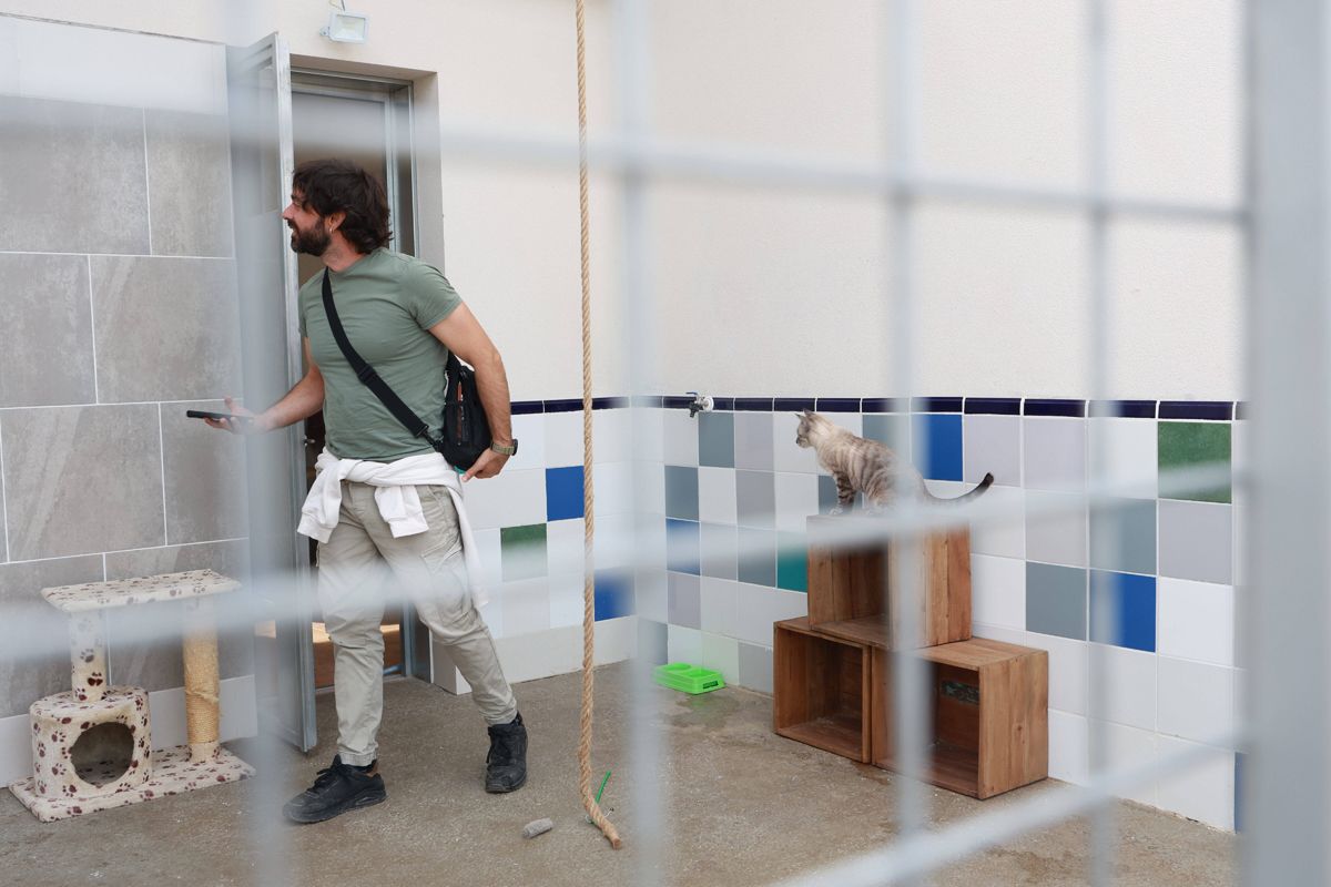 Fotogalería | Así es el nuevo albergue para animales de Cáceres