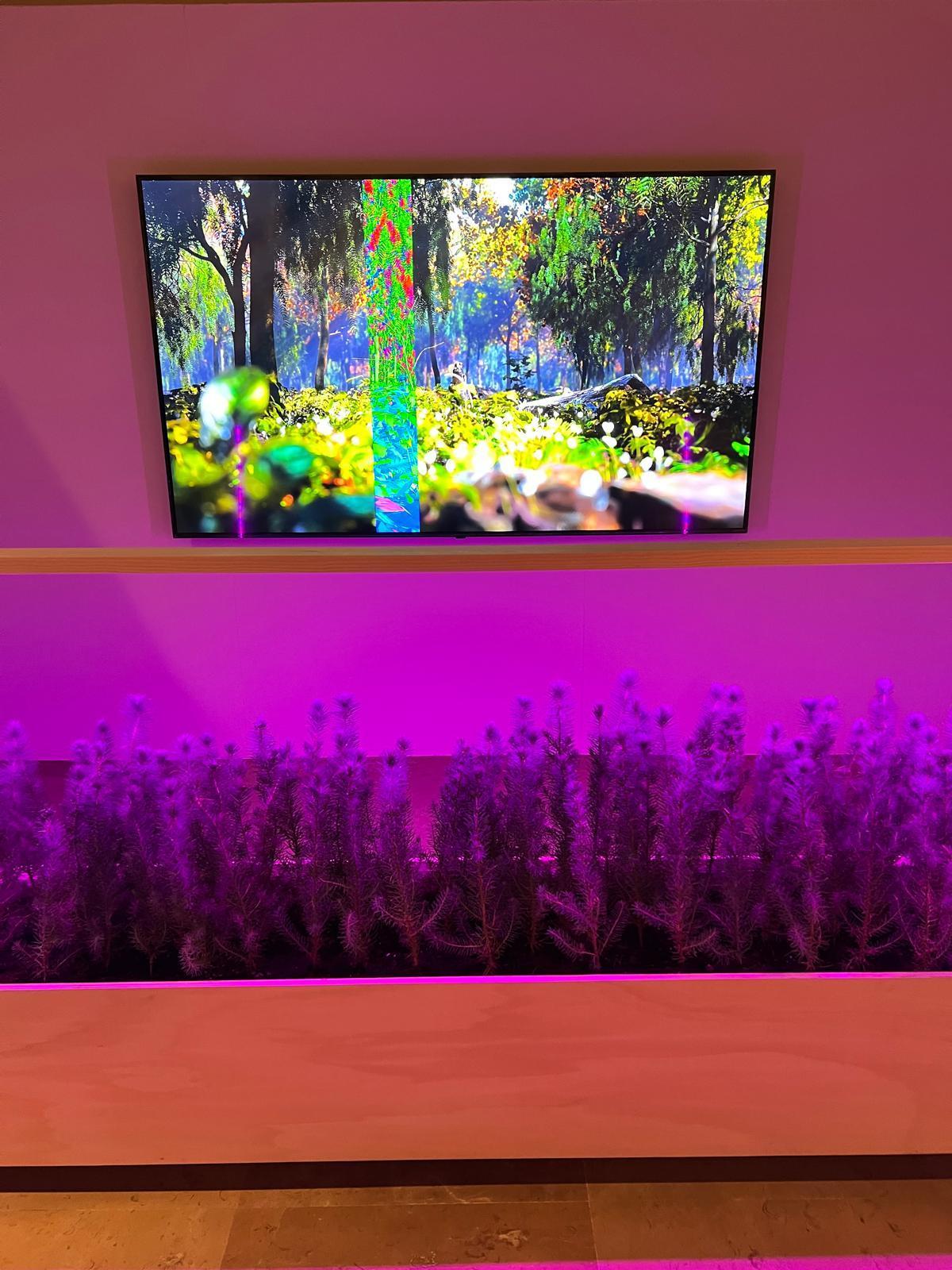 la instalación "Real/Unreal".