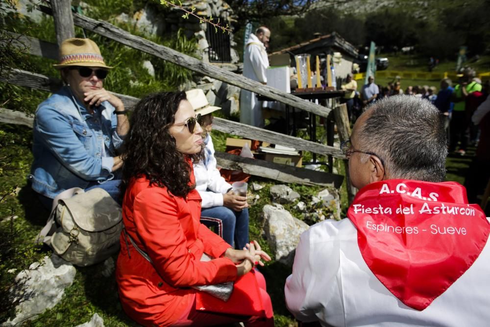 Fiesta del Asturcón en el Sueve