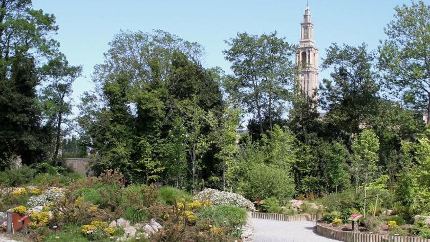 A partir de mañana entrar al Botánico es gratis