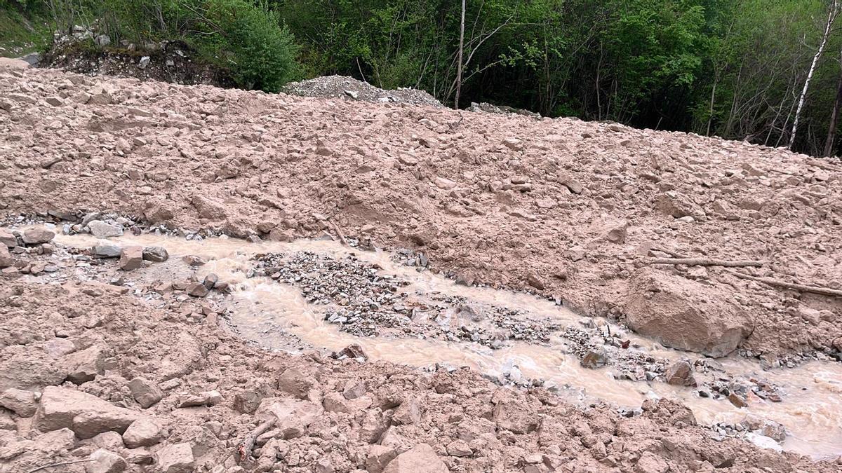 En imágenes: Así trabaja Tineo para limpiar la fana de Genestaza y dar servicio a los pueblos