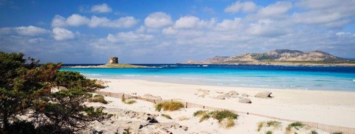 La isla de Asinara