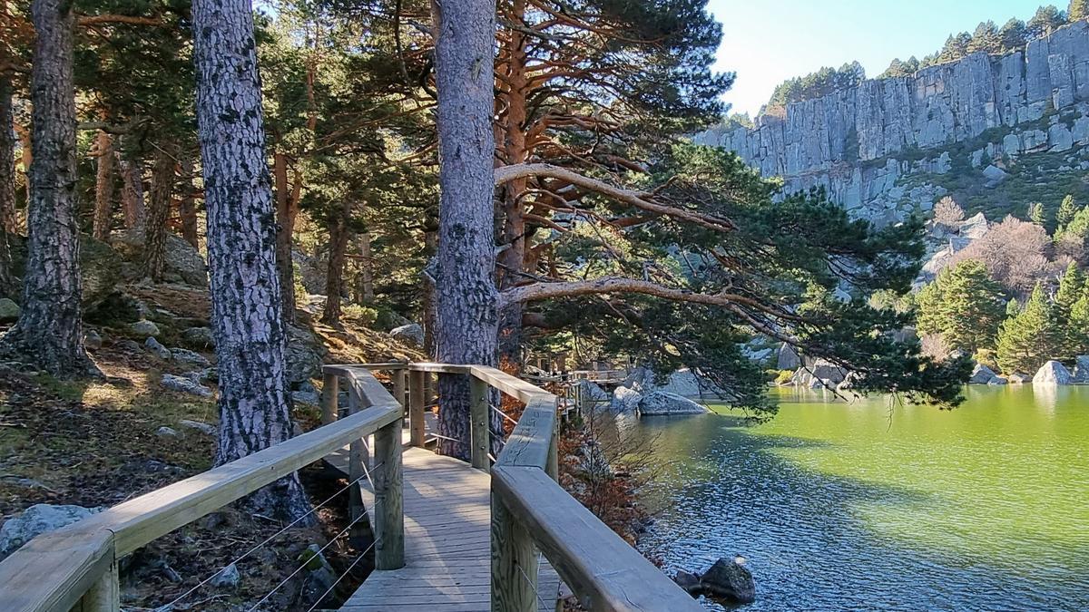 Laguna Negra, Bosque de Pinos, ecosistema del mes