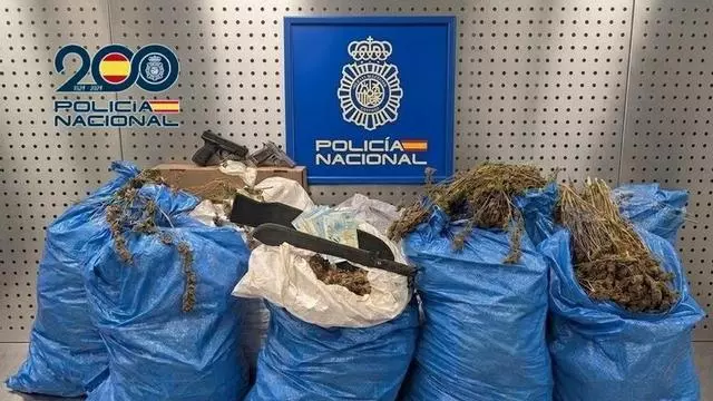 Cae una red de cultivo de marihuana en Córdoba con más de 100 kilos de cogollos intervenidos