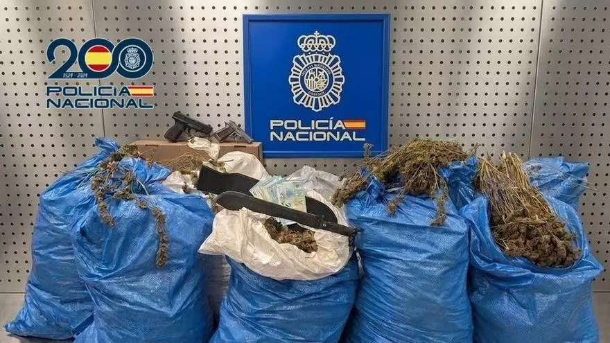 Cae una red de cultivo de marihuana en Córdoba con más de 100 kilos de cogollos intervenidos