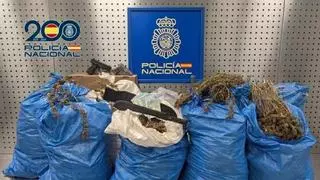 Cae una red de cultivo de marihuana en Córdoba: dos detenidos, varias armas y 100 kilos de cogollos intervenidos