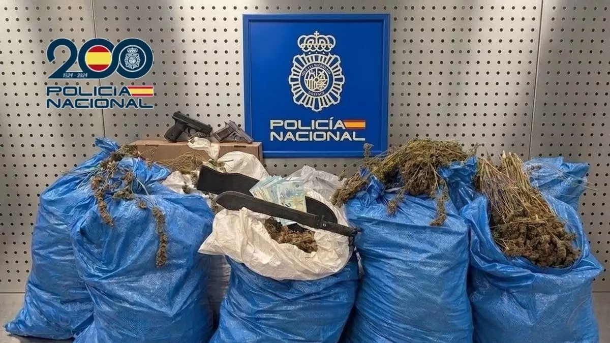 Cae una red de cultivo de marihuana en Córdoba: dos detenidos, varias armas y 100 kilos de cogollos intervenidos