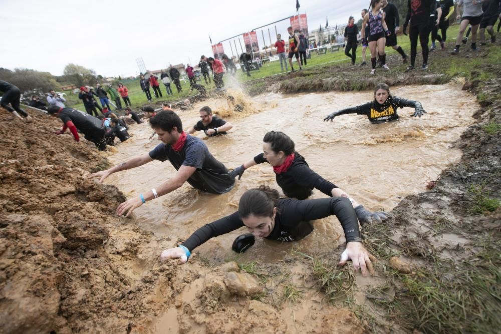 Farinato Race en Oviedo