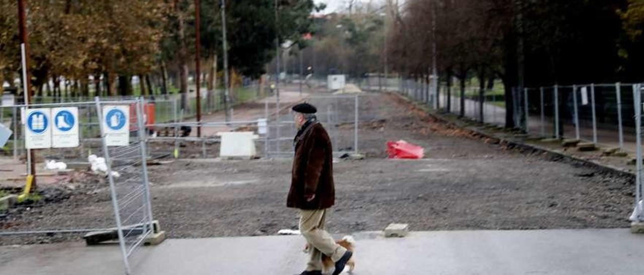 Un peatón cruza con su perro junto a la avenida del Molinón, en obras por la construcción del pozo de tormentas del parque Hermanos Castro.