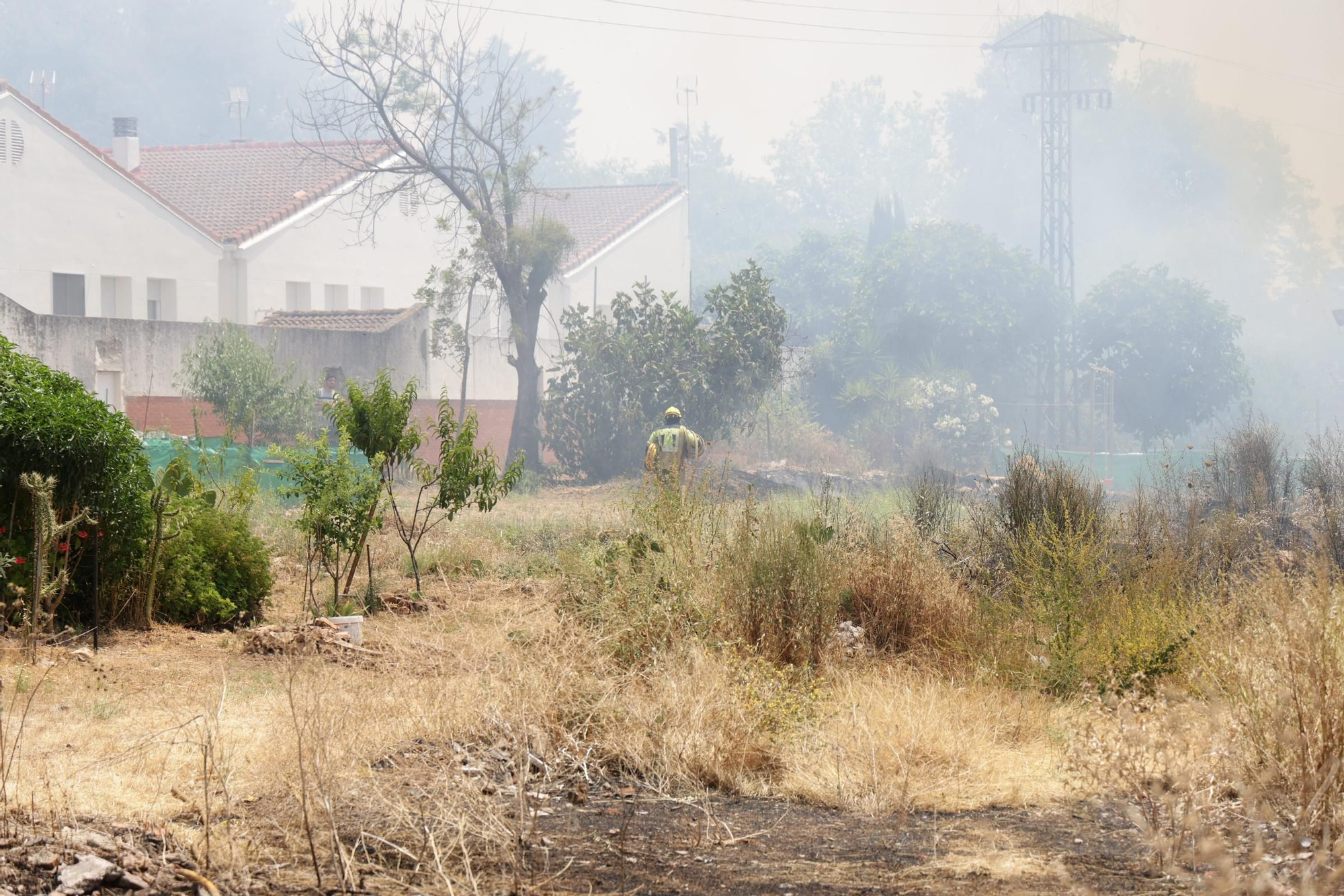 El Incendio en el Cerro de los Pinos, en imágenes