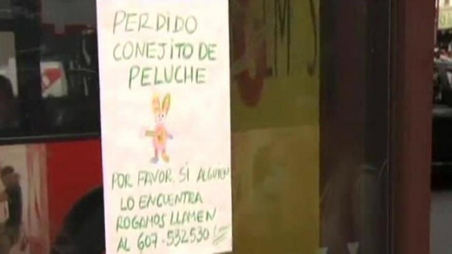 Se busca 'conejito' perdido