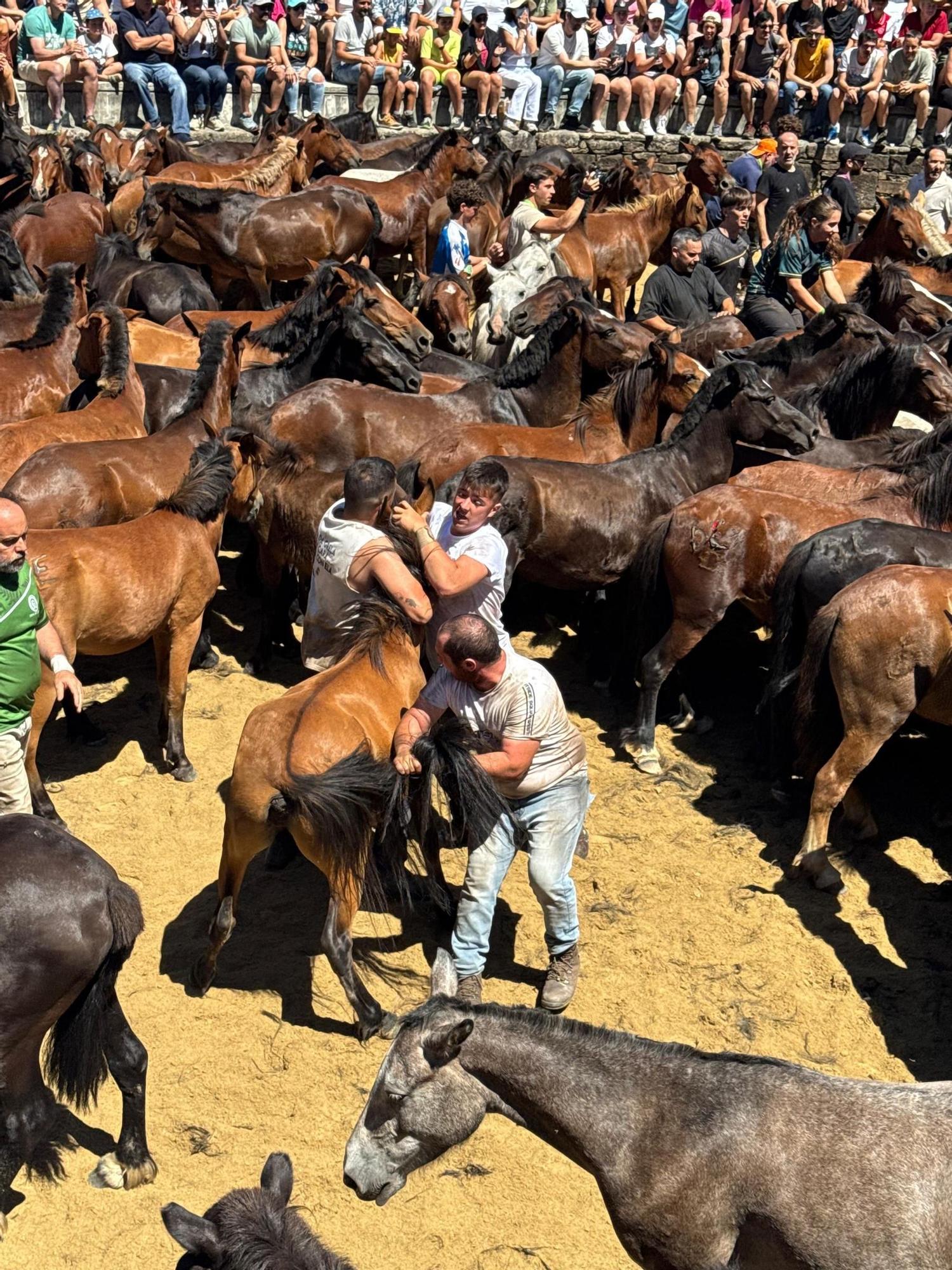 Sabucedo celebra su primera rapa como BIC