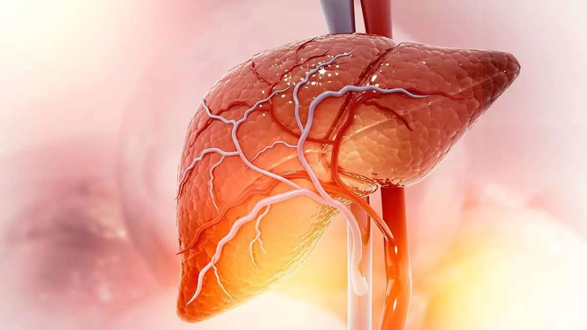 ¿Sabías que el hígado es el único órgano interno que puede regenerarse y que realiza más de 500 funciones vitales?