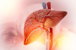 ¿Sabías que el hígado es el único órgano interno que puede regenerarse y que realiza más de 500 funciones vitales?