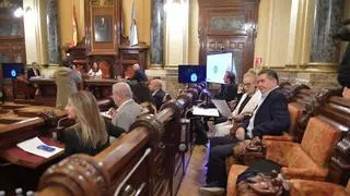 El pleno de A Coruña aprueba el cambio del plan general para crear el polígono del Parque del Agra