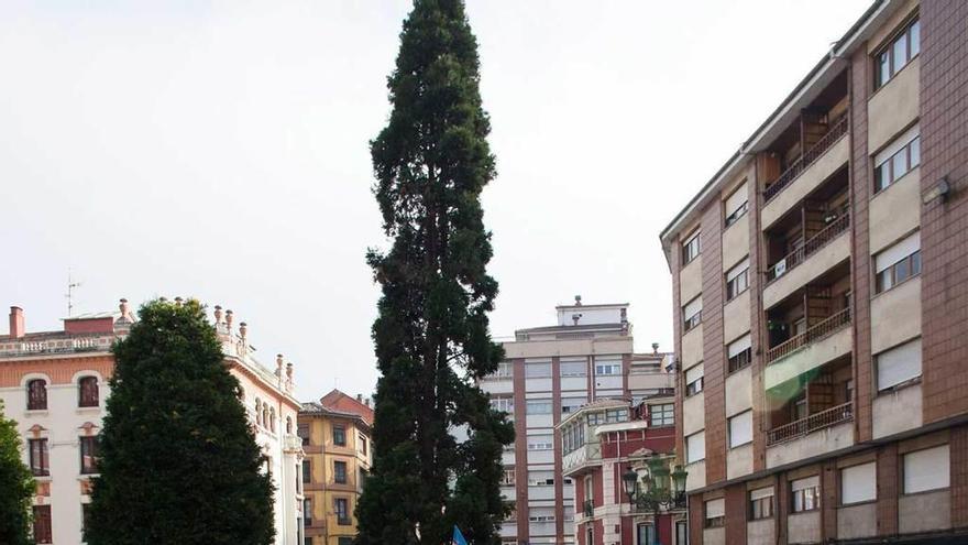 La lectura del manifiesto, ayer, frente al Ayuntamiento.