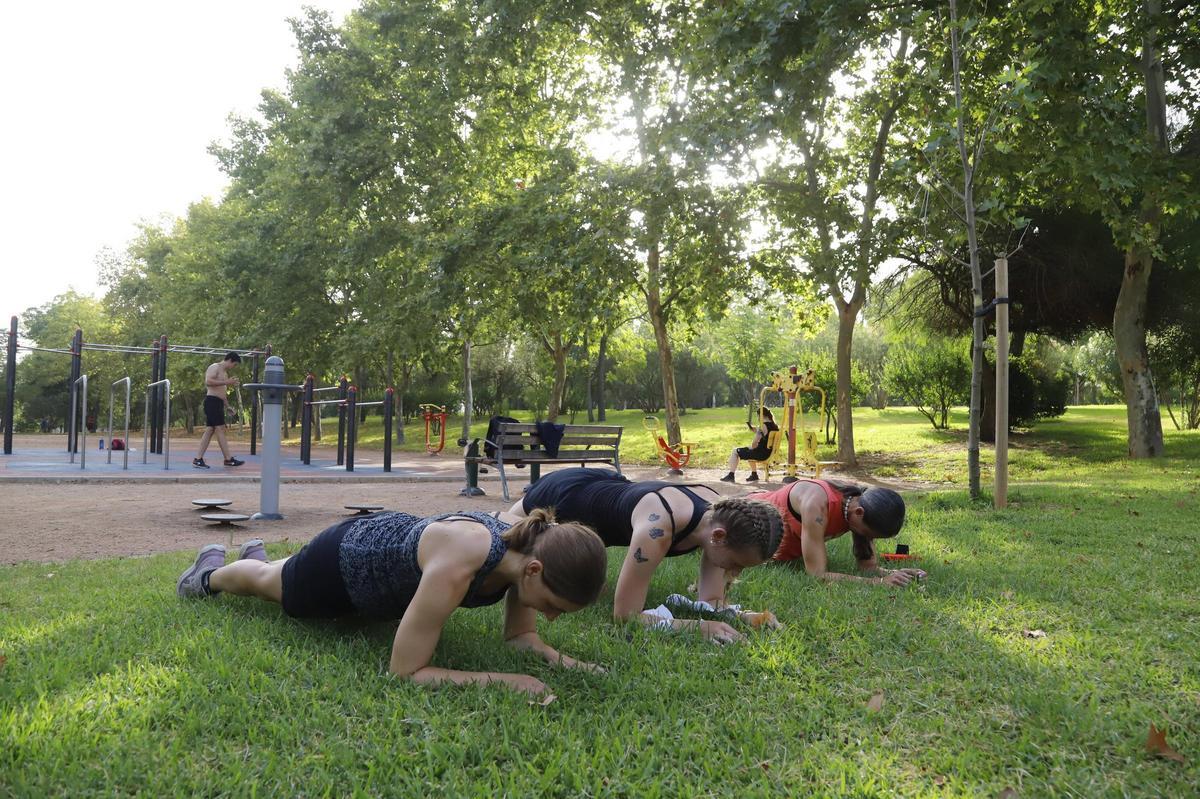 Zona verde del Parque Cruz Conde.