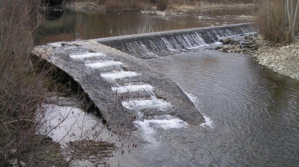 Escalera para facilitar el remonte de los peces en el río Ter a su paso por Ripoll, cerca de la zona de Agafallops. Escalera para facilitar el remonte de los peces en el río Ter a su paso por Ripoll, cerca de la zona de Agafallops.