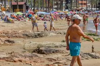 Torrevieja quiere destinar un millón en la regeneración de la playa del Cura con 20.000 metros cúbicos de arena