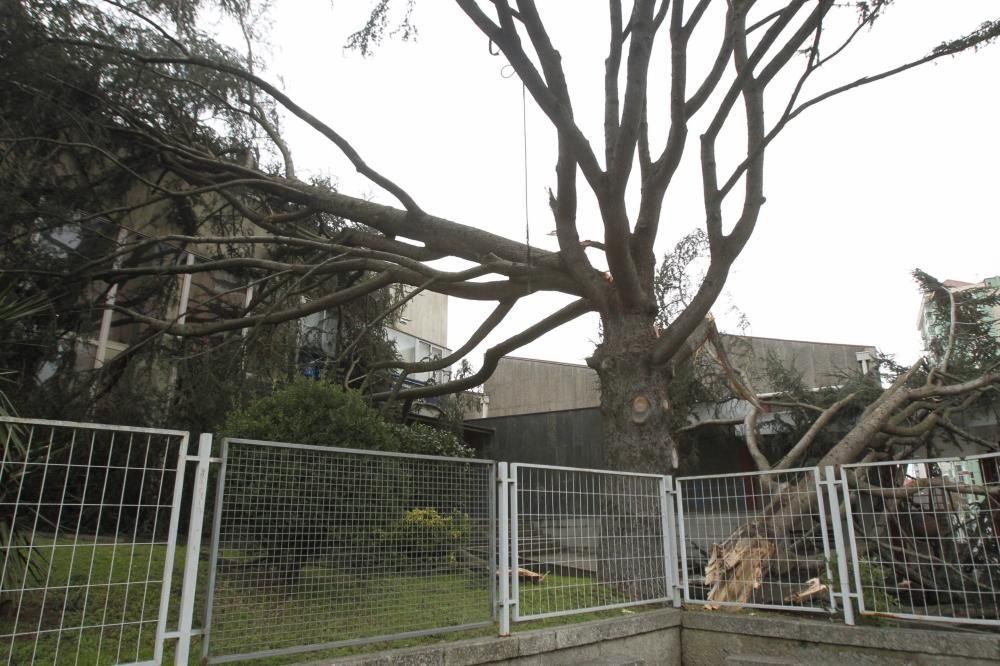 Temporal en Vigo