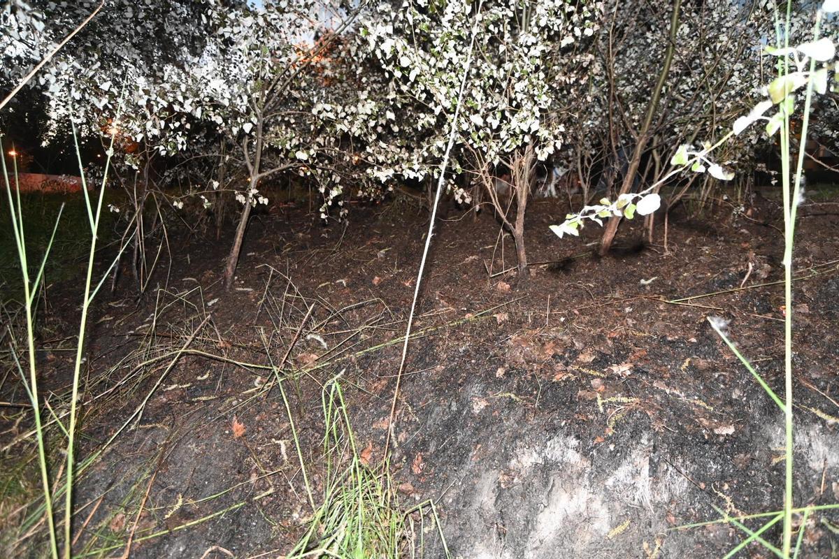 Restos de ceniza dejados por el incendio de matorral en Macanaz, este domingo en Zaragoza.