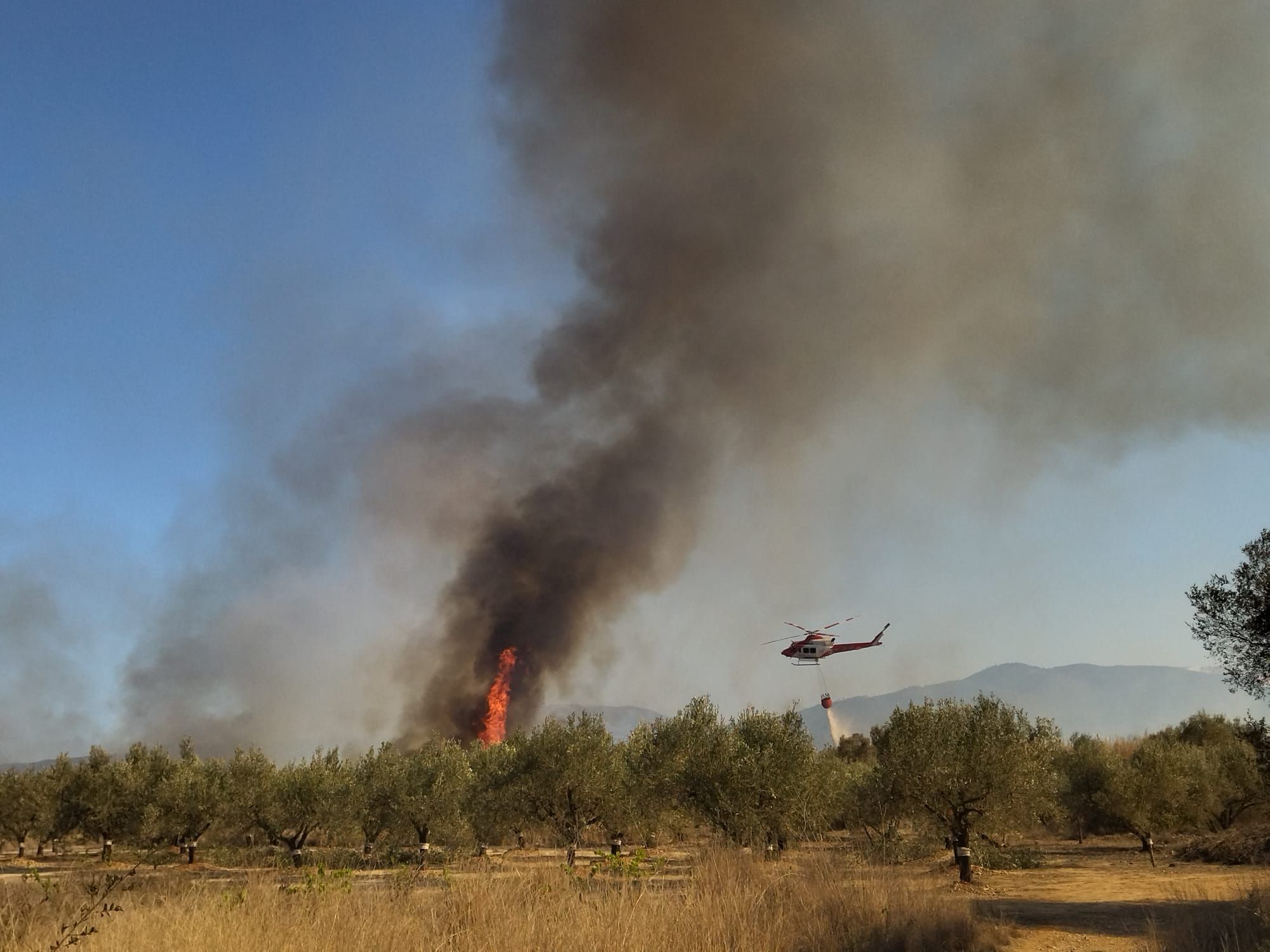 Las imágenes del virulento incendio de Xàbia