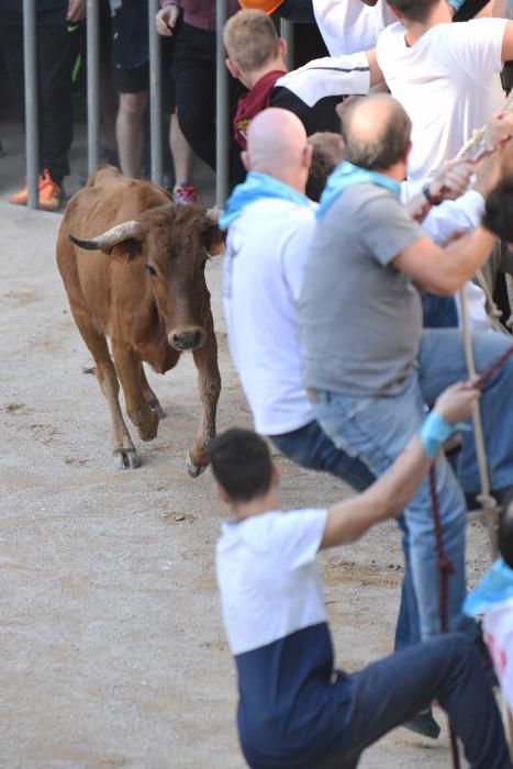 Imatges de la jornada de diumenge del corre de bou de Cardona 2017