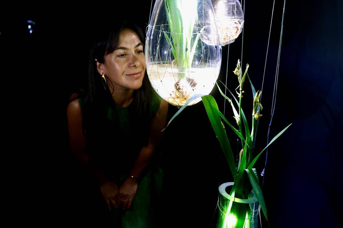 Tania Candiani inaugura en el IVAM la exposición inmersiva 'Radix'