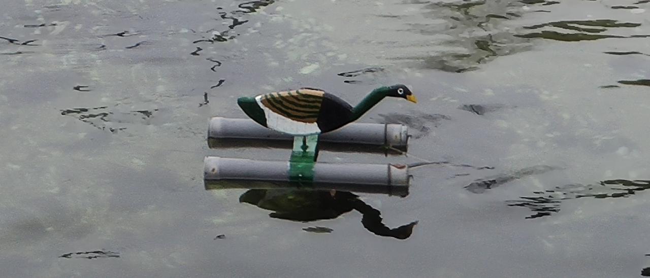 Pato de madera flotando en Moaña.