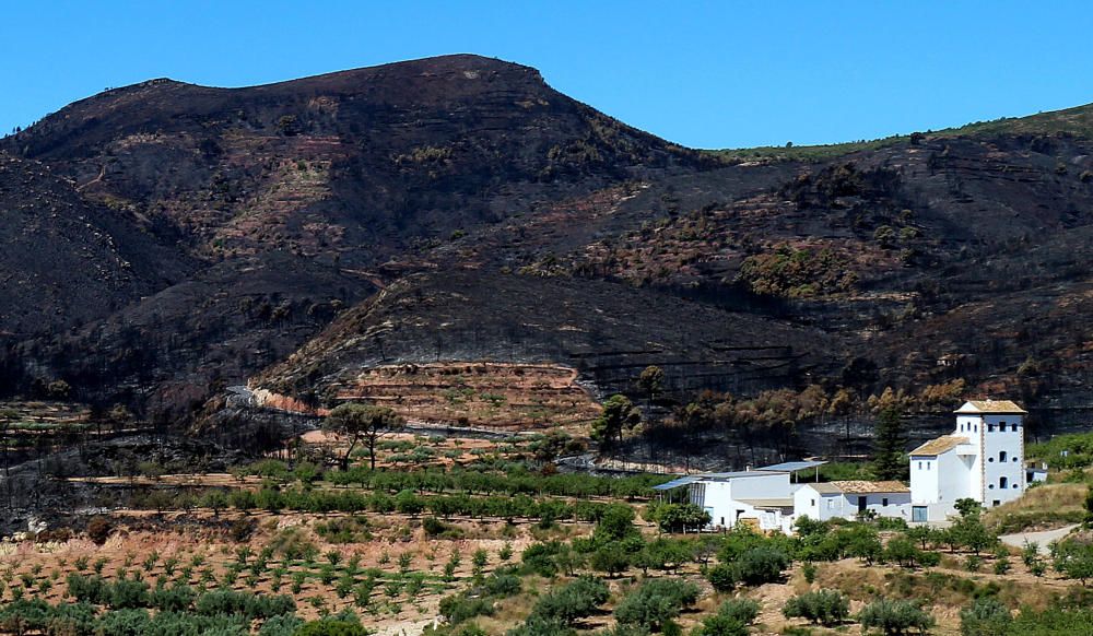 El desolador paisaje de la Calderona tras el incendio